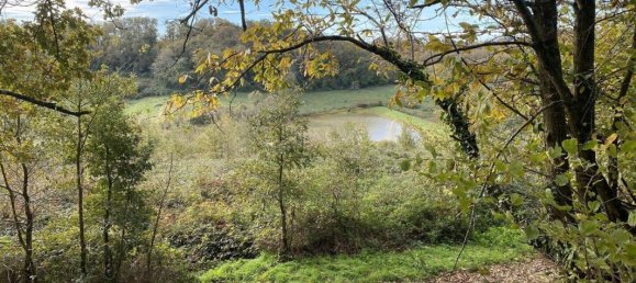 5 bedrooms House in Saint-Loubouer, France No. 96601 4