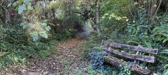 5 bedrooms House in Saint-Loubouer, France No. 96601 14