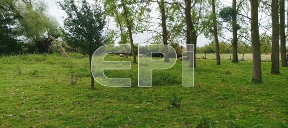  قطعة أرض في Braye-sous-Faye, France 6900متر مربع رقم 120897 9