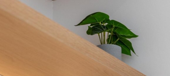 3 bedrooms Villa in San Fulgencio, Spain No. 9517 4