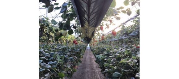 284m² Land in Soure, Portugal No. 139736 38