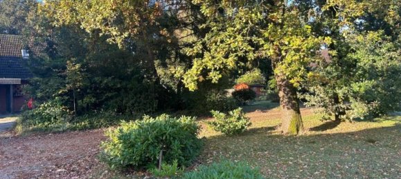 Terreno en County of Bentheim, Germany No. 126949 5