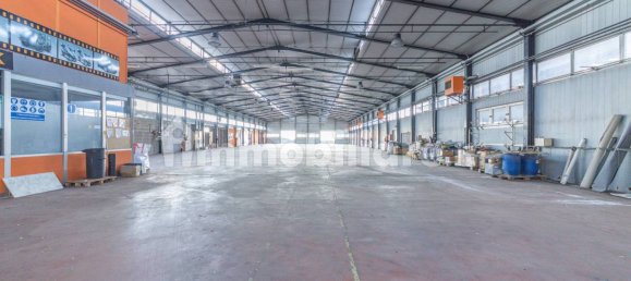 5 rooms Commercial property in Ariccia, Italy No. 106422 3