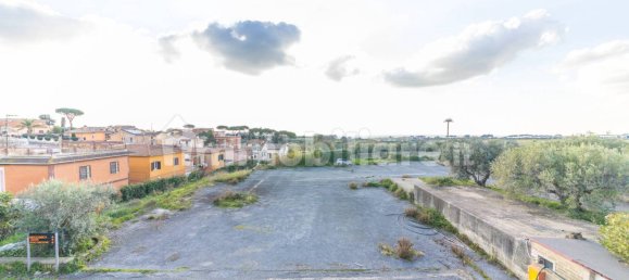 5 rooms Commercial property in Ariccia, Italy No. 106422 12