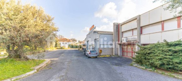 5 rooms Commercial property in Ariccia, Italy No. 106422 2