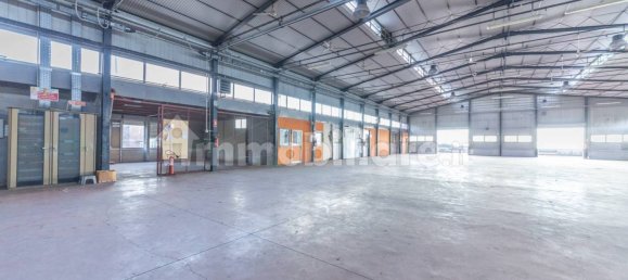 5 rooms Commercial property in Ariccia, Italy No. 106422 4