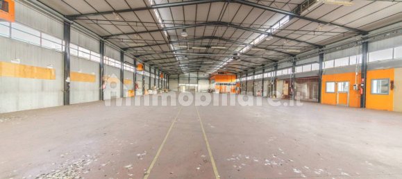 5 rooms Commercial property in Ariccia, Italy No. 106422 11