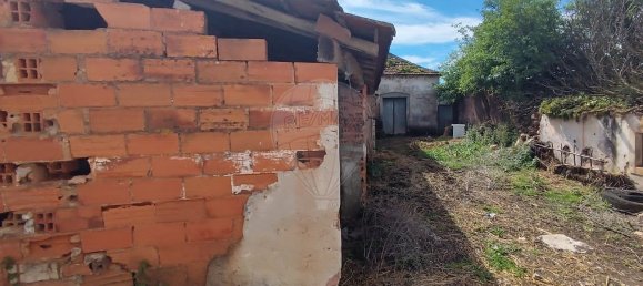 3 Schlafzimmer Haus in Alcobertas, Portugal, Nr. 30185 6