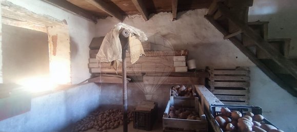 3 Schlafzimmer Haus in Alcobertas, Portugal, Nr. 30185 21