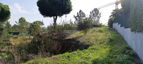 504m² Land in Almancil, Portugal No. 127980 8