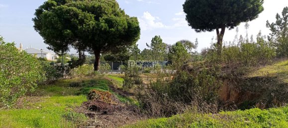 504m² Land in Almancil, Portugal No. 127980 10