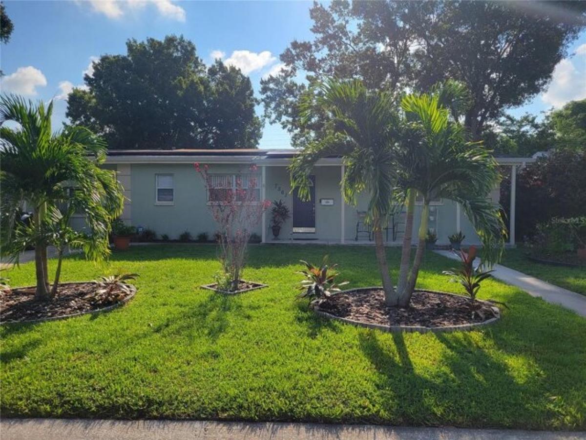 3 bedrooms House in Saint Petersburg, USA No. 404499