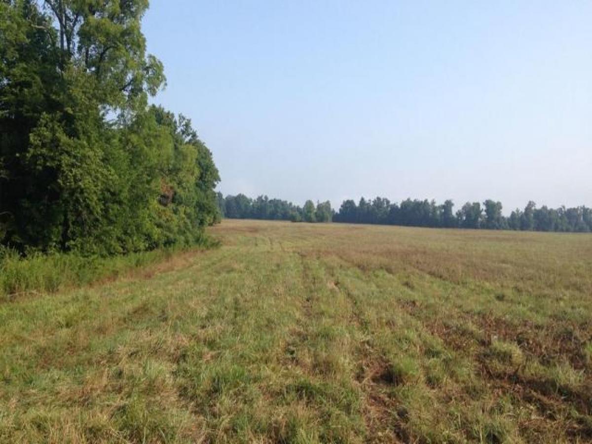  Land in Gurgaon, India No. 29437