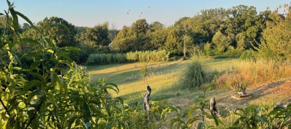 5 bedrooms Commercial property in Dordogne, France No. 1952 6