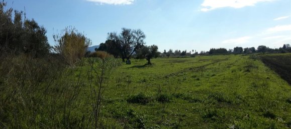 120000m² Hotel in Zakynthos, Greece No. 6824 5