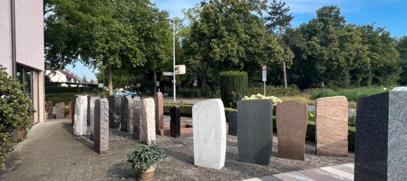 11-Zimmer Gebäude in Mannheim, Germany, Nr. 233730 4