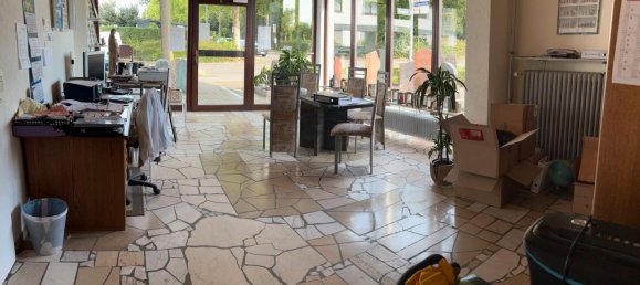 11-Zimmer Gebäude in Mannheim, Germany, Nr. 233730 6