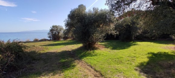 3700m² Hotel in Chalkidiki, Greece No. 4011 8