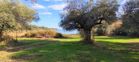 3700m² Hotel in Chalkidiki, Greece No. 4011 15