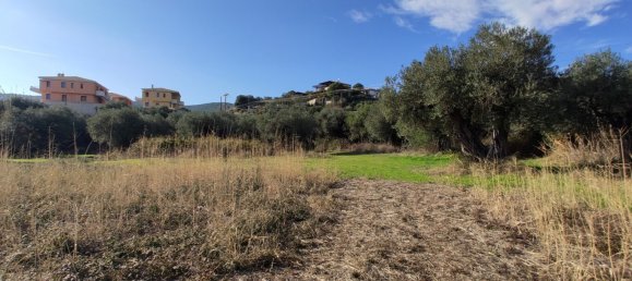 3700m² Hotel in Chalkidiki, Greece No. 4011 11