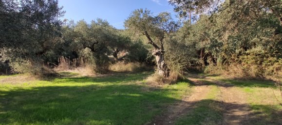 3700m² Hotel in Chalkidiki, Greece No. 4011 9