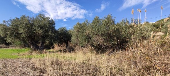 3700m² Hotel in Chalkidiki, Greece No. 4011 6