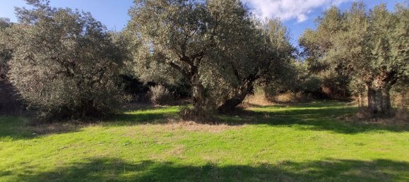 3700m² Hotel in Chalkidiki, Greece No. 4011 12