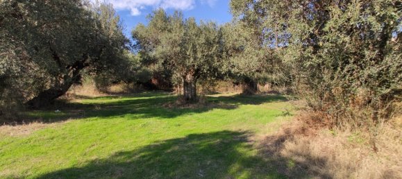 3700m² Hotel in Chalkidiki, Greece No. 4011 13