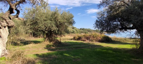 3700m² Hotel in Chalkidiki, Greece No. 4011 16