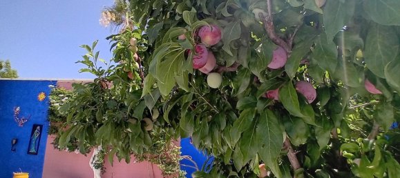 Вилла с 4 спальнями в Мазаррон, Испания № 149801 47