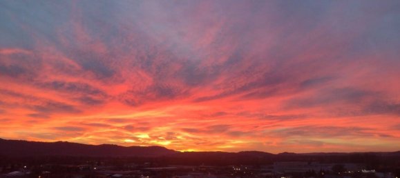 2-salle Appartement à Konstanz, Germany No. 290292 7