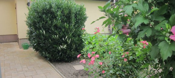 Таунхаус с 6 комнатами в Лейпциг, Германия № 31242 12