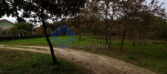 15000m² Land in Baiao, Portugal No. 37844 9