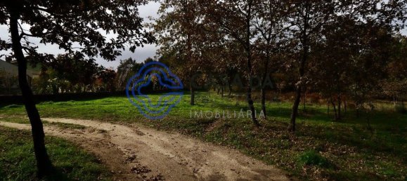 15000m² Land in Baiao, Portugal No. 37844 7