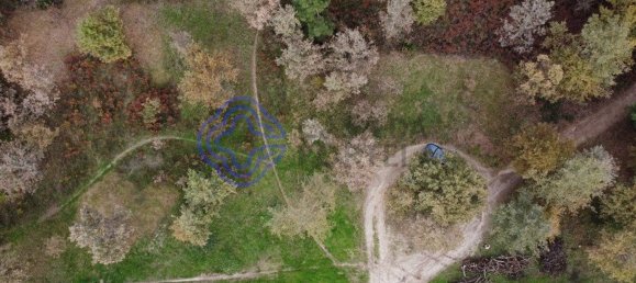 15000m² Land in Baiao, Portugal No. 37844 16