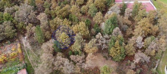 15000m² Land in Baiao, Portugal No. 37844 15