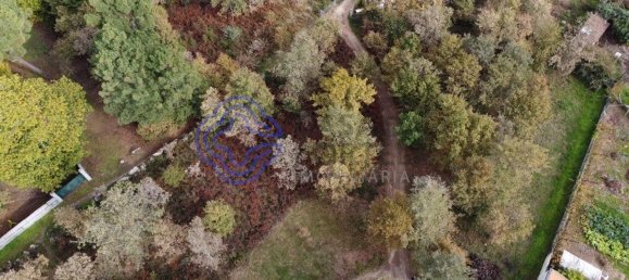 15000m² Land in Baiao, Portugal No. 37844 13