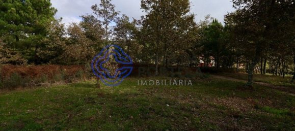 15000m² Land in Baiao, Portugal No. 37844 11