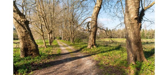 Замки и поместья с 12 спальнями в Синтра, Португалия № 109189 40