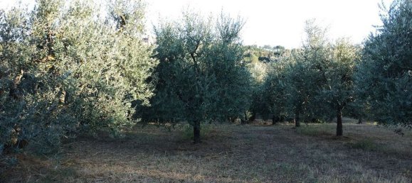 40000m² Land in Montepulciano, Italy No. 254265 7