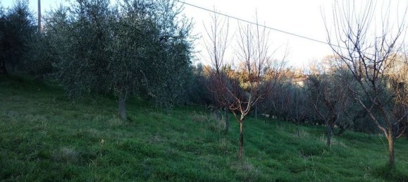 40000m² Land in Montepulciano, Italy No. 254265 6