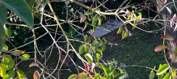 6غرفة منزل في Ronciglione, Italy رقم 169646 17