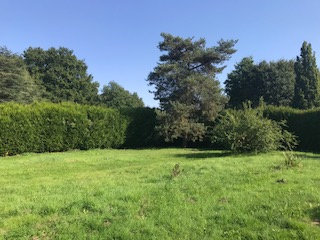  Land in Cernay-la-Ville, France No. 171292