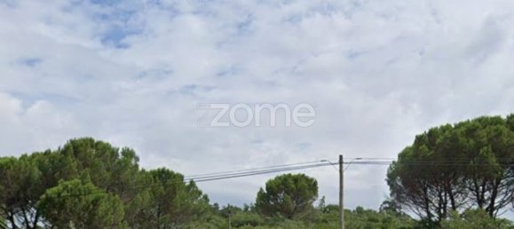 3150m² Land in Ansiao, Portugal No. 86065 19