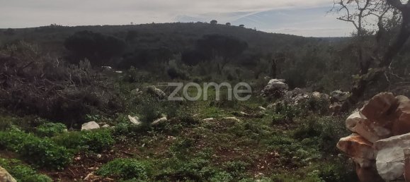 3150m² Land in Ansiao, Portugal No. 86065 5