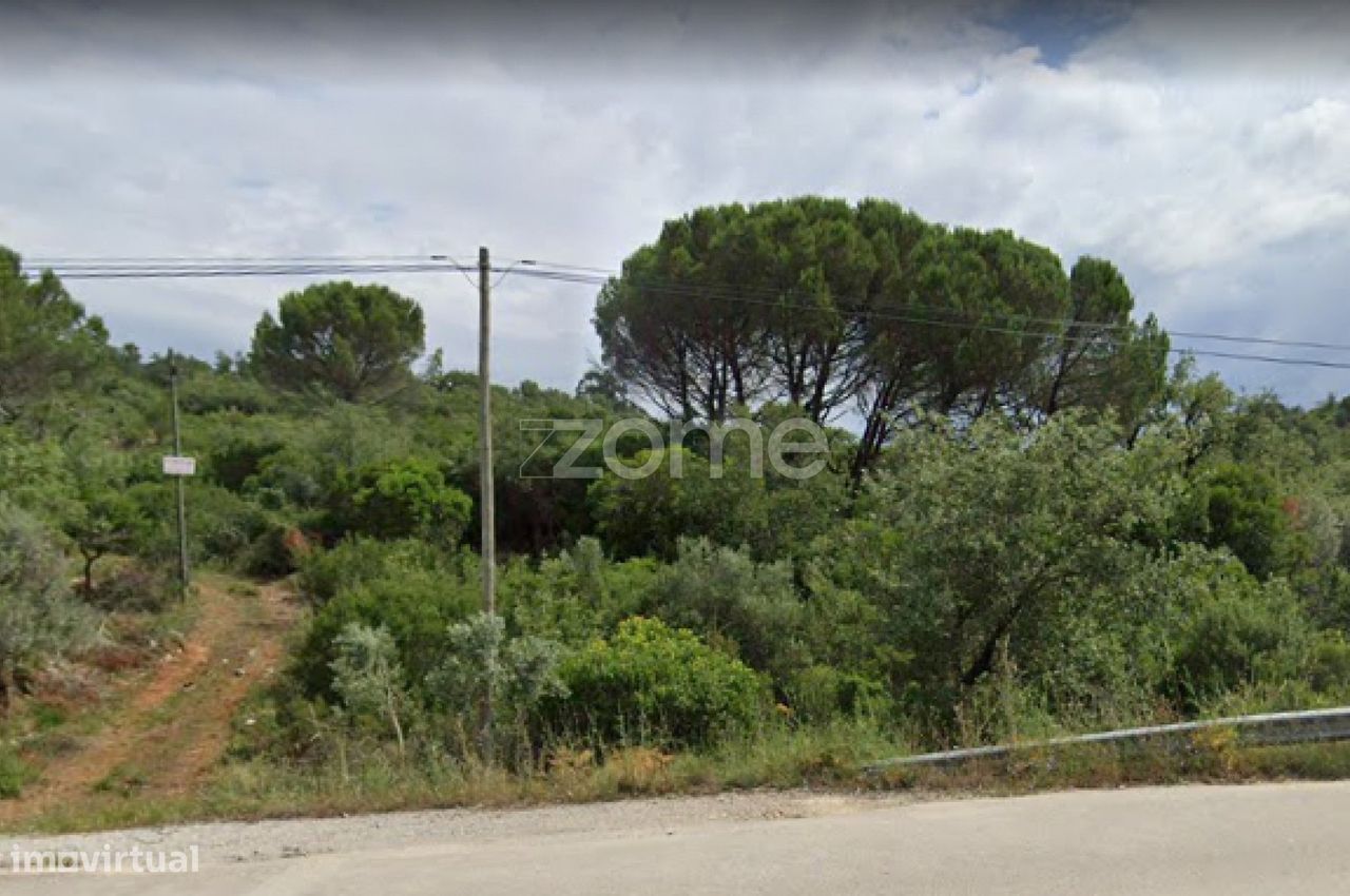 3150m² Land in Ansiao, Portugal No. 86065