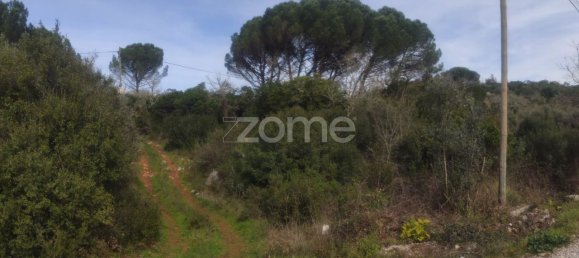 3150m² Land in Ansiao, Portugal No. 86065 13
