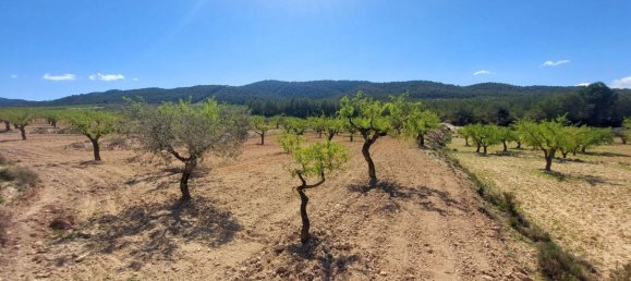 3 bedrooms House in Mula, Spain No. 146788 24