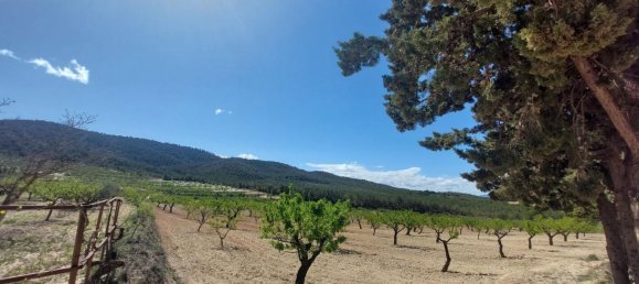 3 bedrooms House in Mula, Spain No. 146788 21