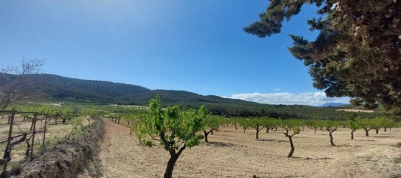 3 bedrooms House in Mula, Spain No. 146788 23